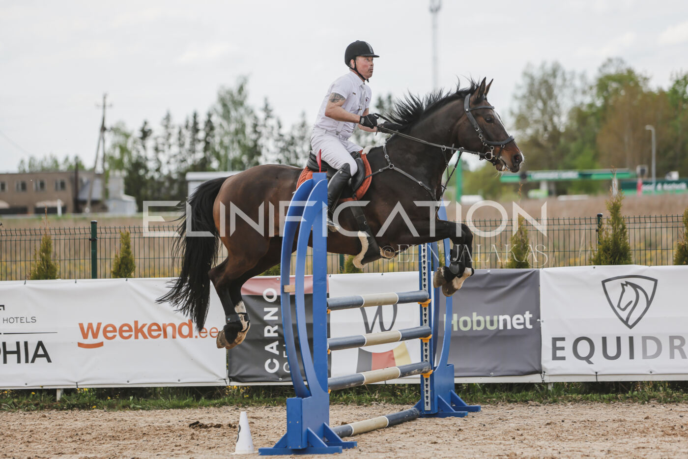 Gramina_Kevad_2026_110_619