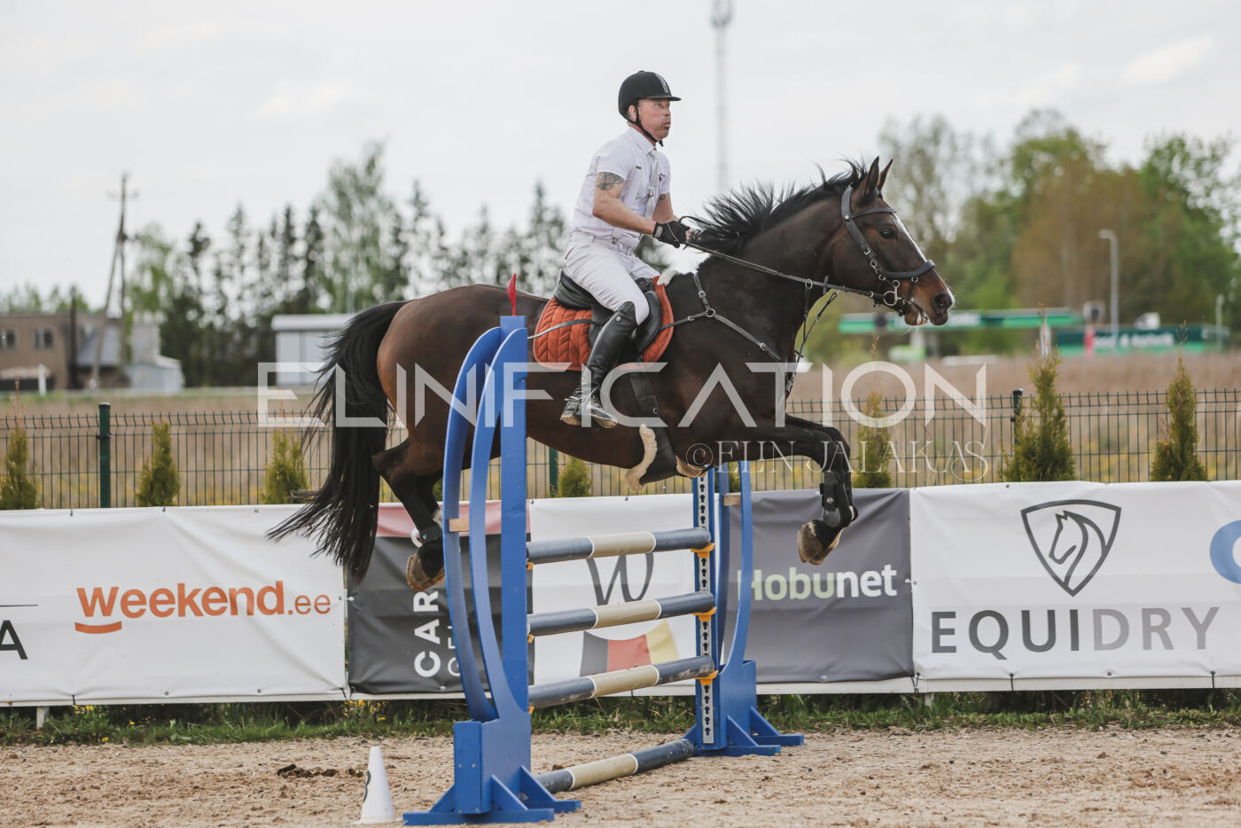 Gramina_Kevad_2026_110_620