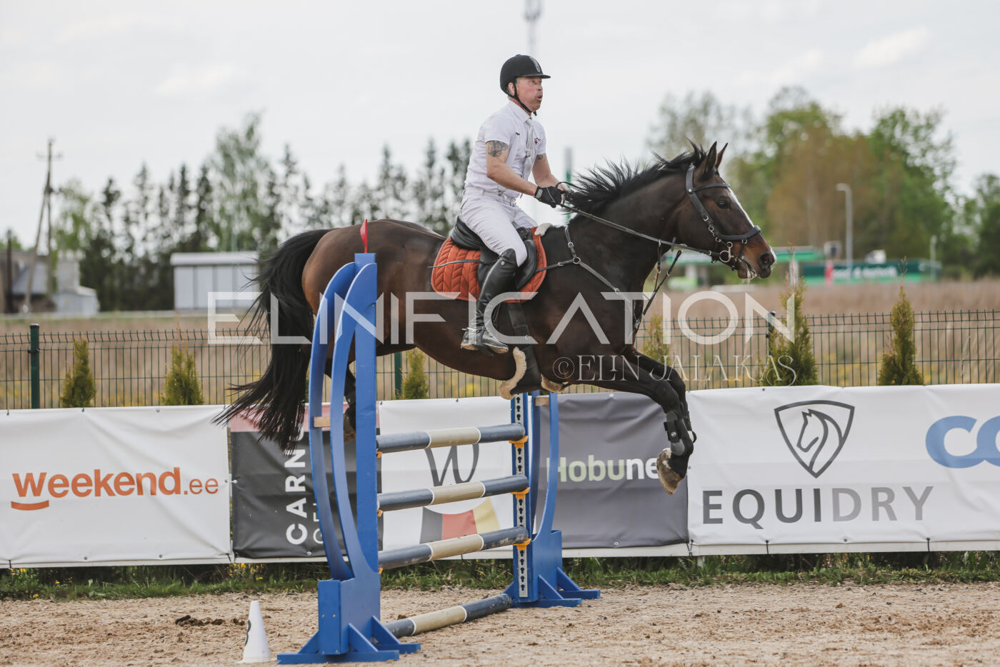 Gramina_Kevad_2026_110_621