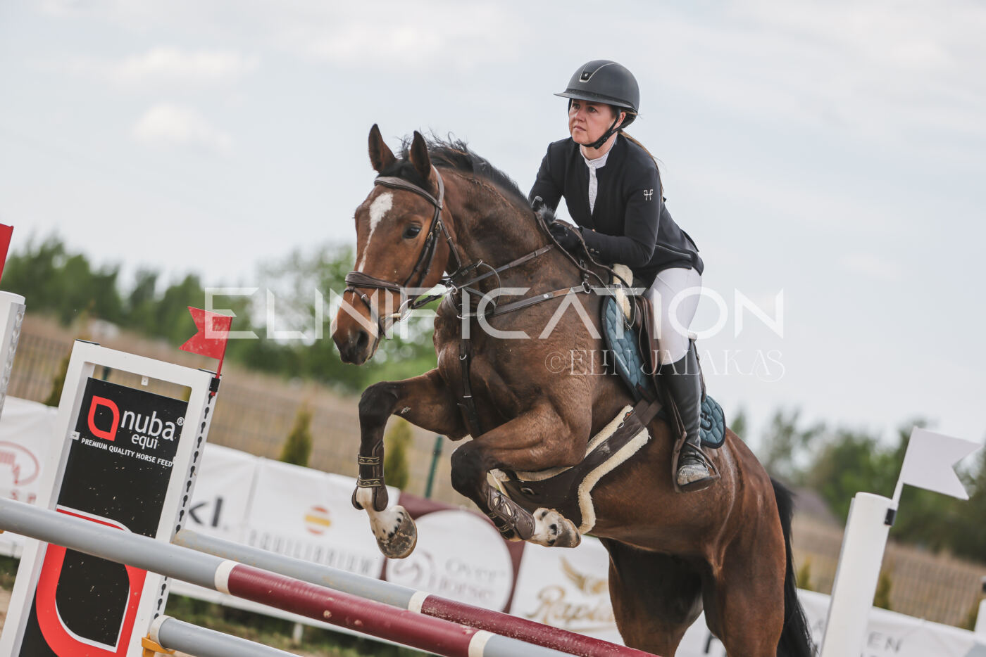 Gramina_Kevad_2026_110_631