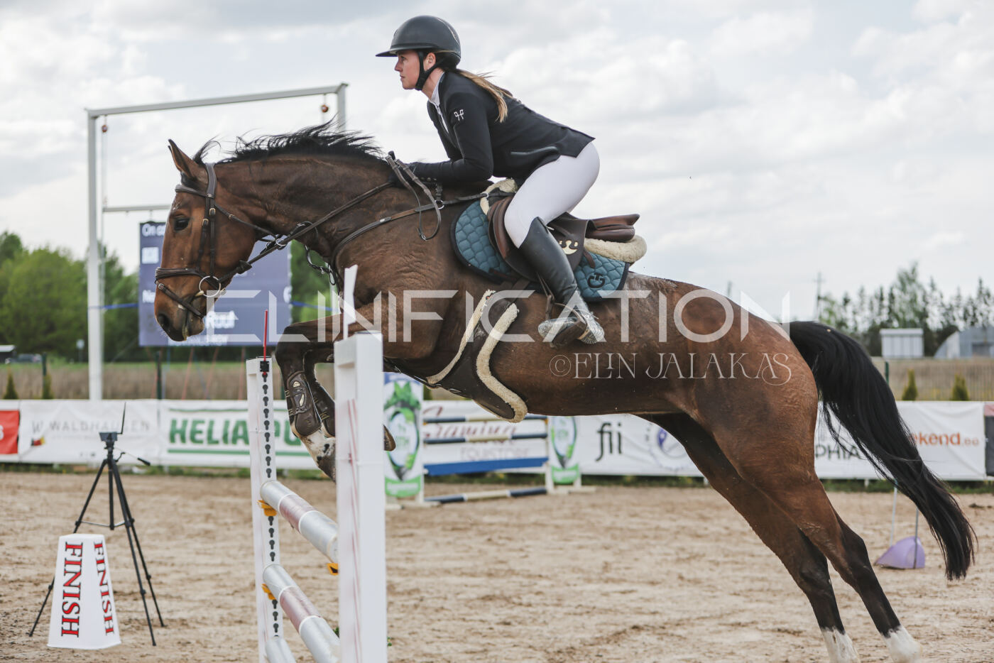 Gramina_Kevad_2026_110_636