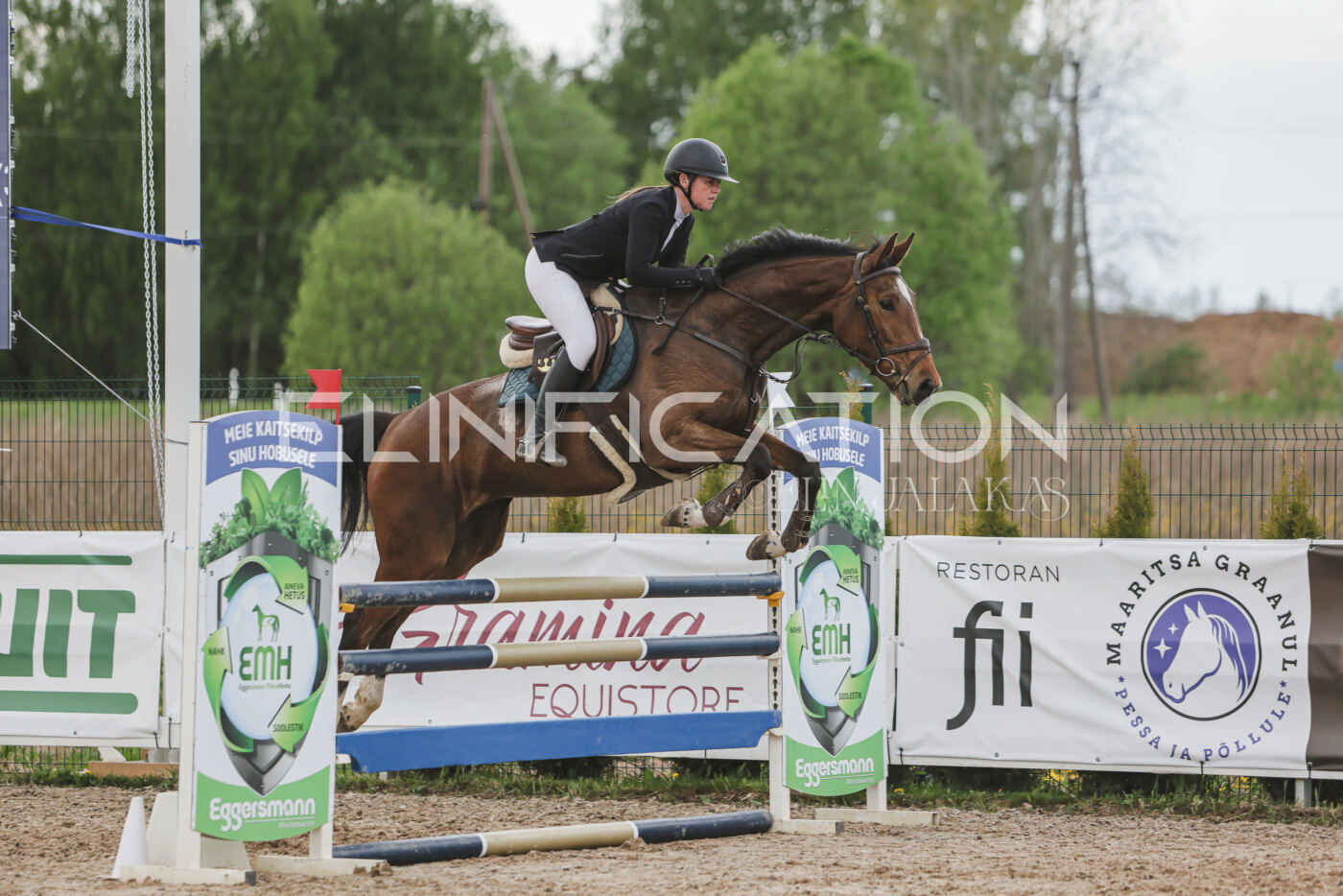 Gramina_Kevad_2026_110_640