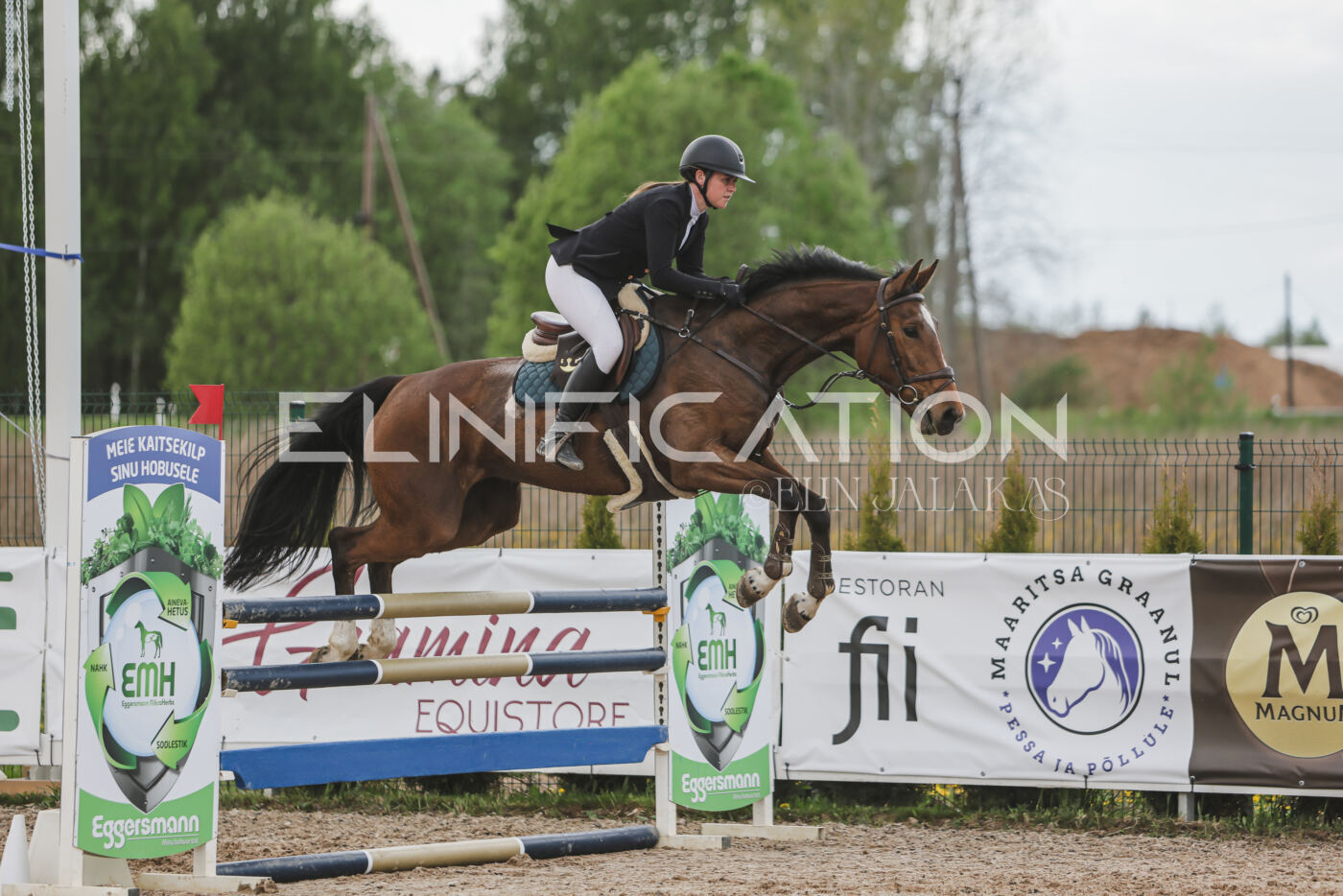 Gramina_Kevad_2026_110_642