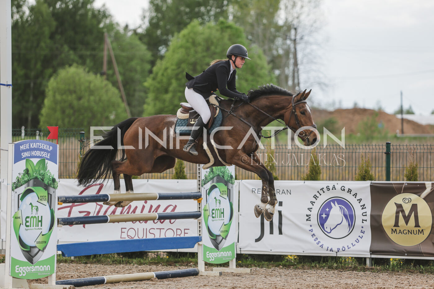 Gramina_Kevad_2026_110_643