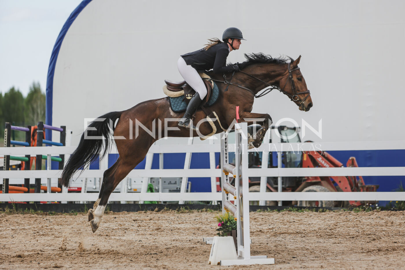 Gramina_Kevad_2026_110_646