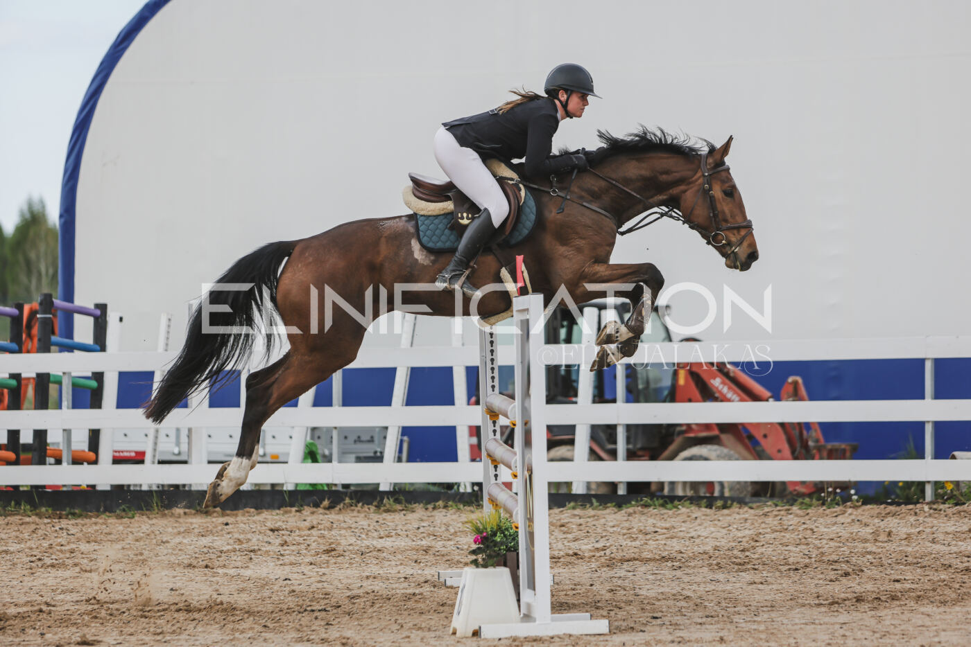 Gramina_Kevad_2026_110_647
