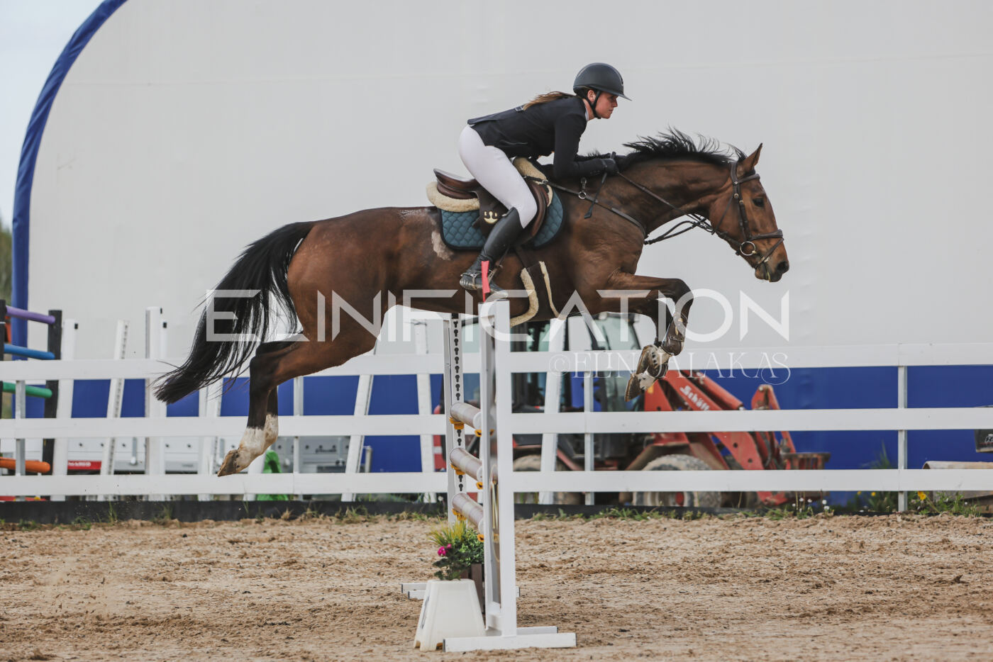 Gramina_Kevad_2026_110_648