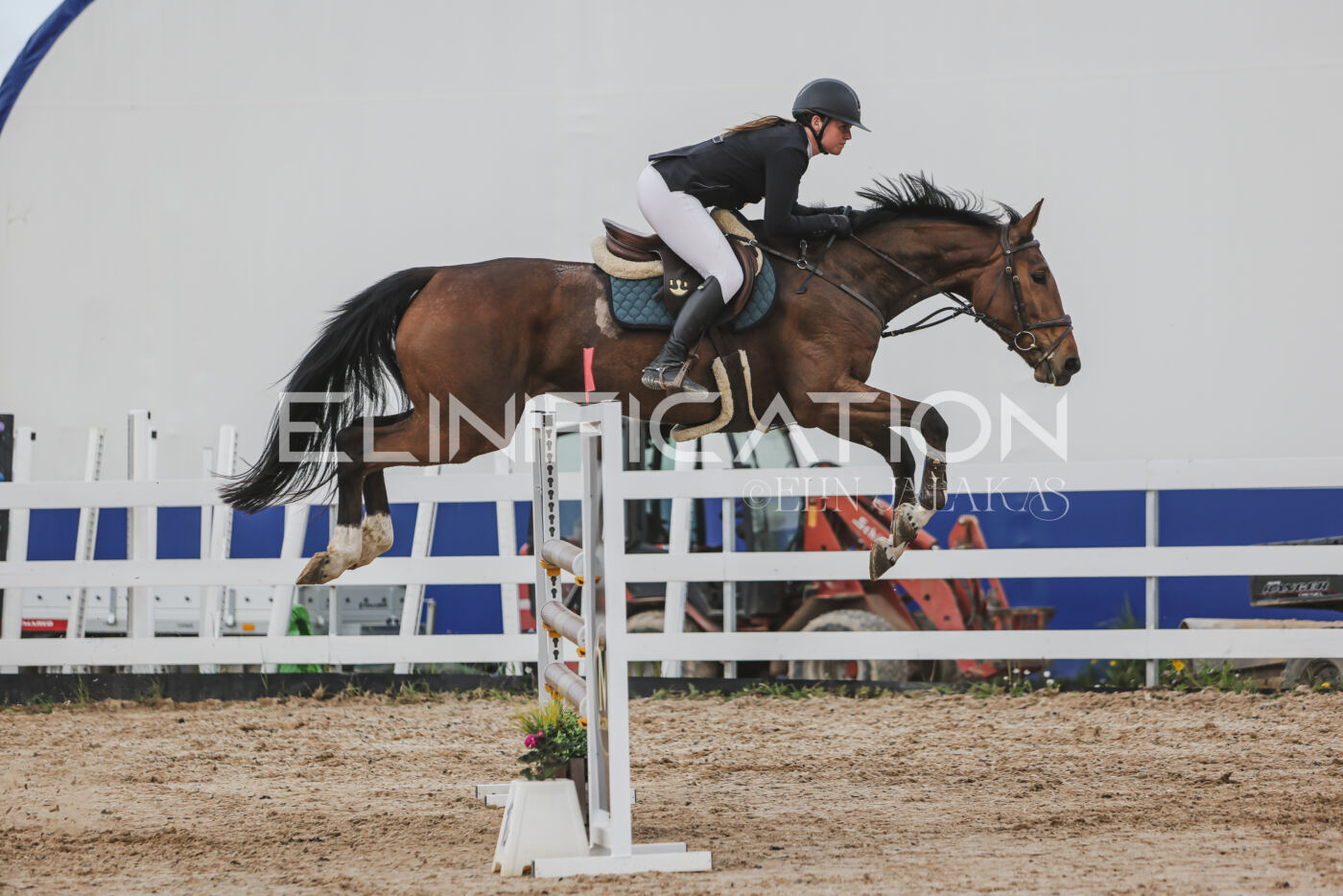 Gramina_Kevad_2026_110_649