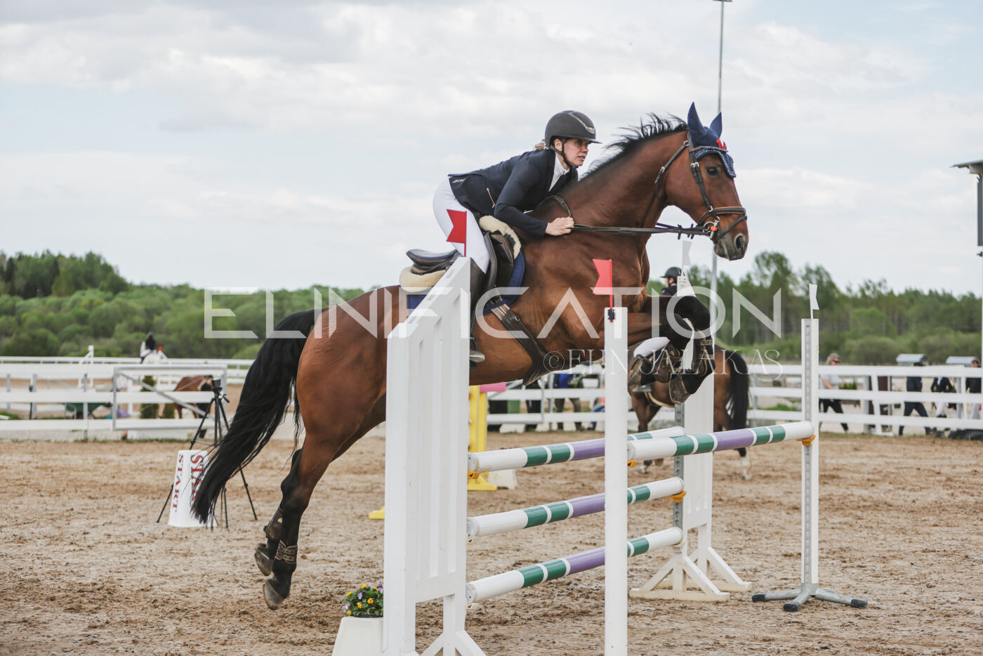 Gramina_Kevad_2026_110_650