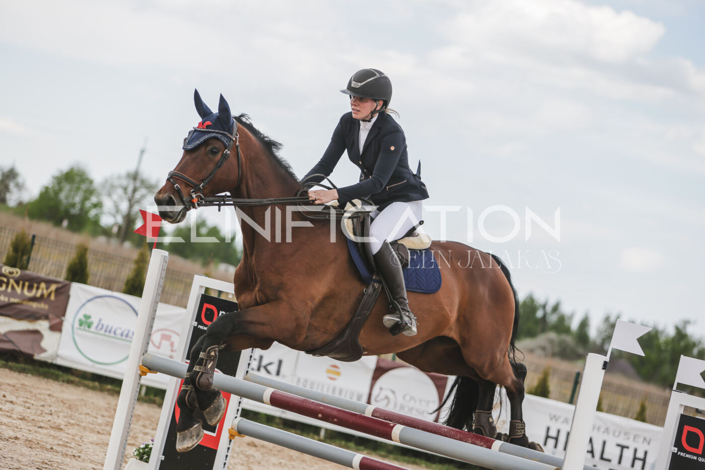 Gramina_Kevad_2026_110_662