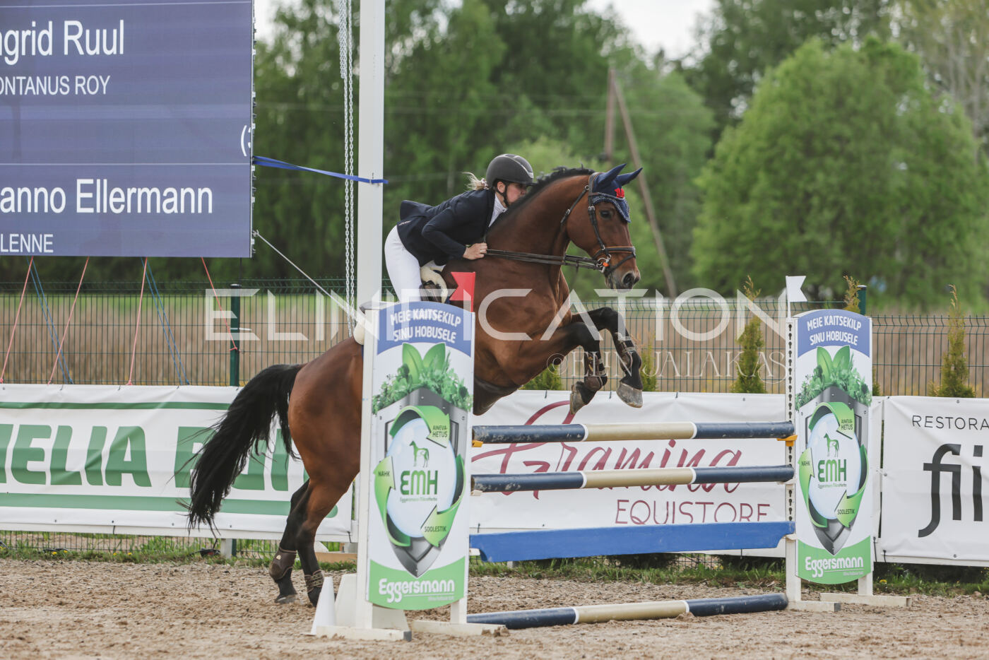 Gramina_Kevad_2026_110_663