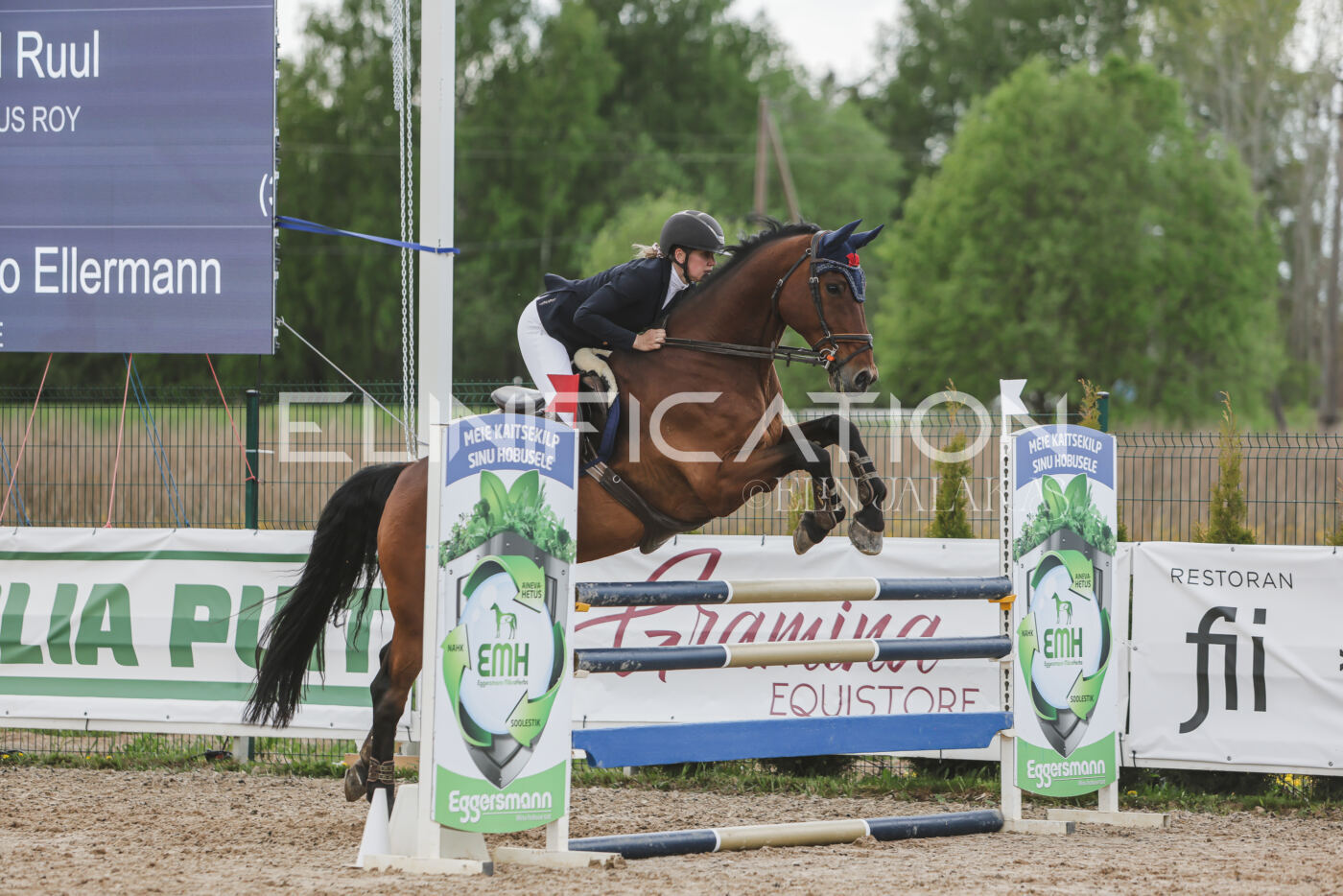 Gramina_Kevad_2026_110_664
