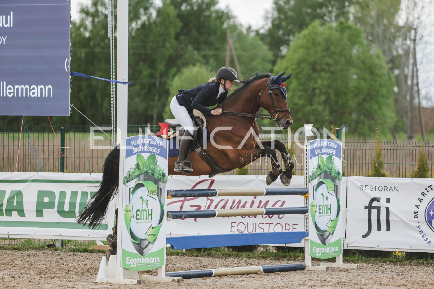 Gramina_Kevad_2026_110_665