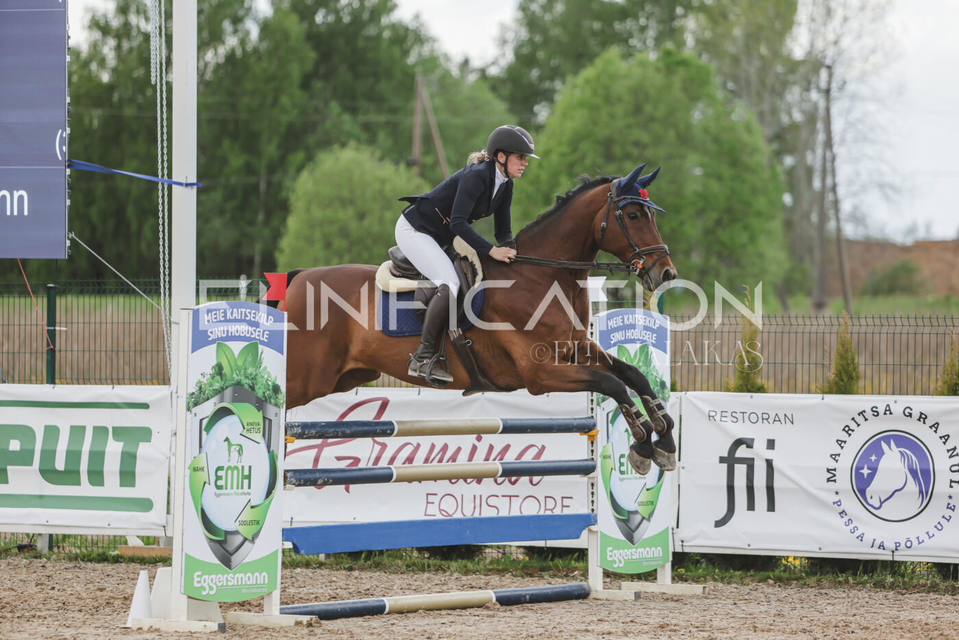 Gramina_Kevad_2026_110_666