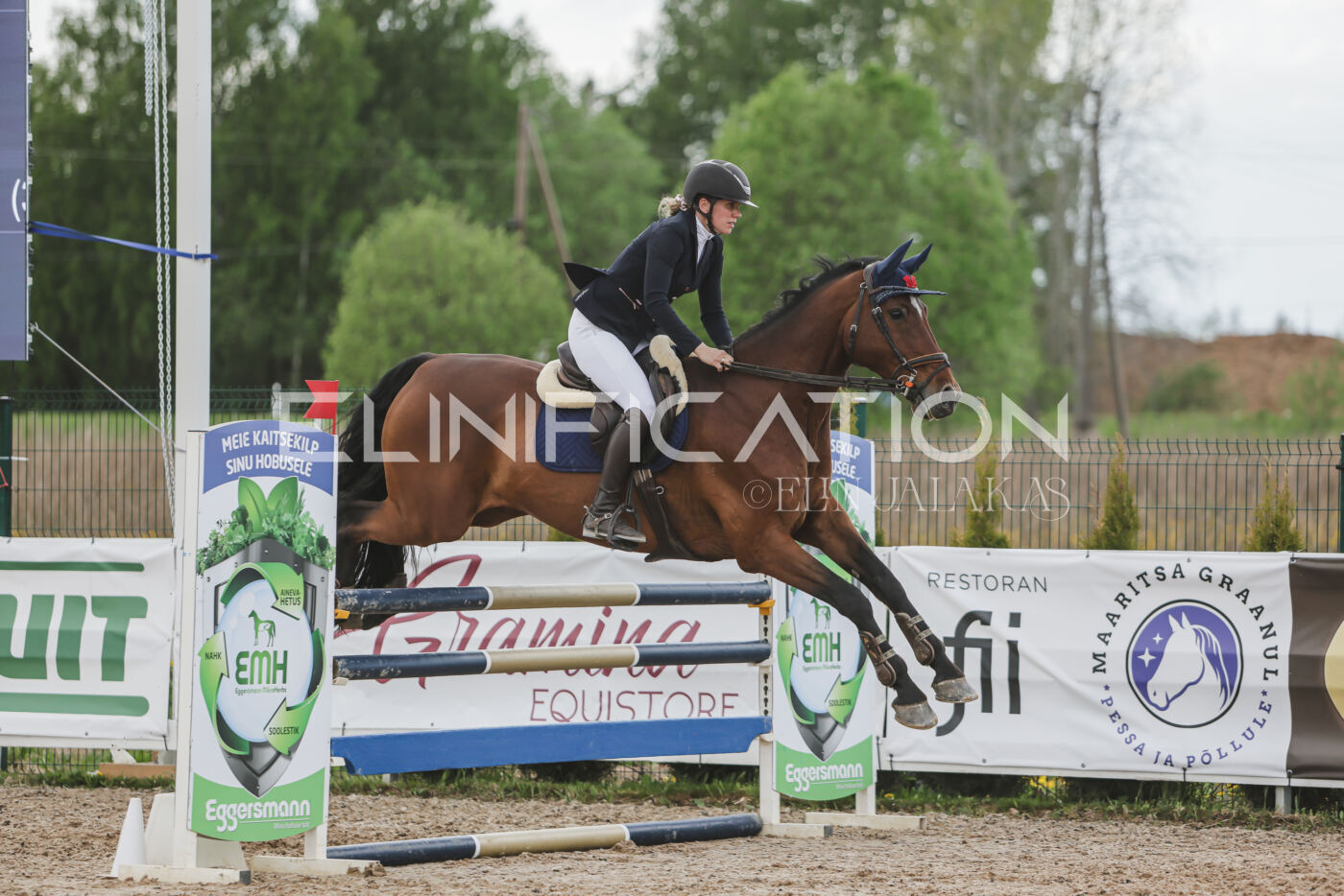 Gramina_Kevad_2026_110_667