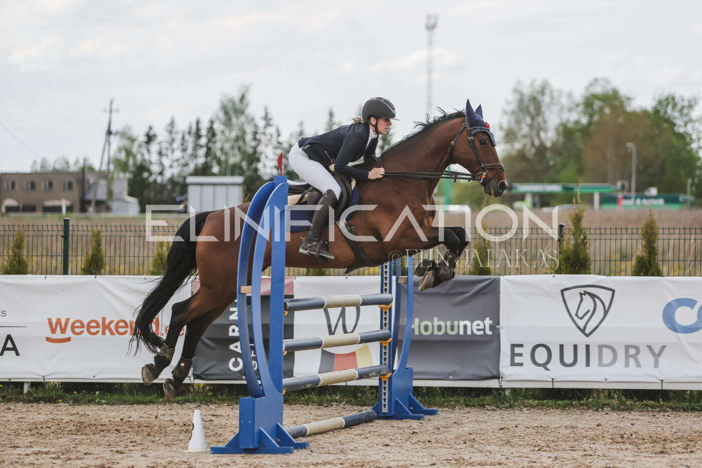 Gramina_Kevad_2026_110_668