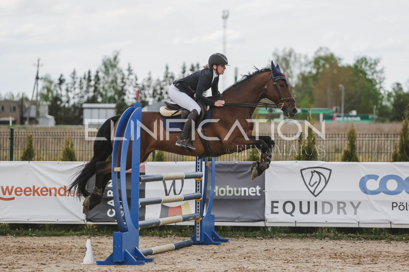 Gramina_Kevad_2026_110_669