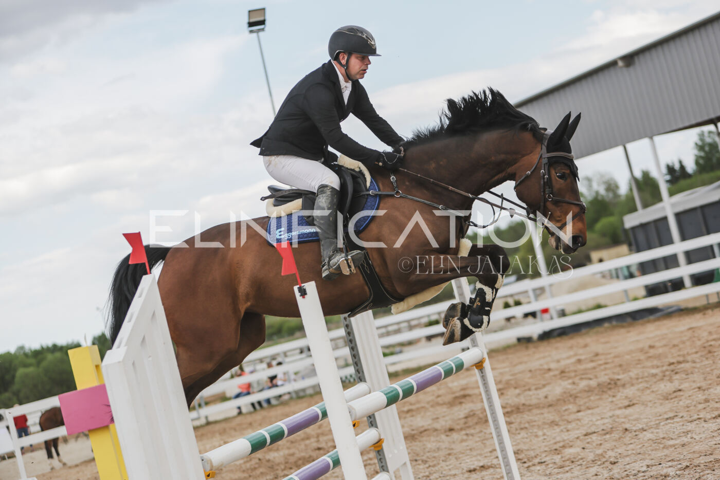 Gramina_Kevad_2026_110_673