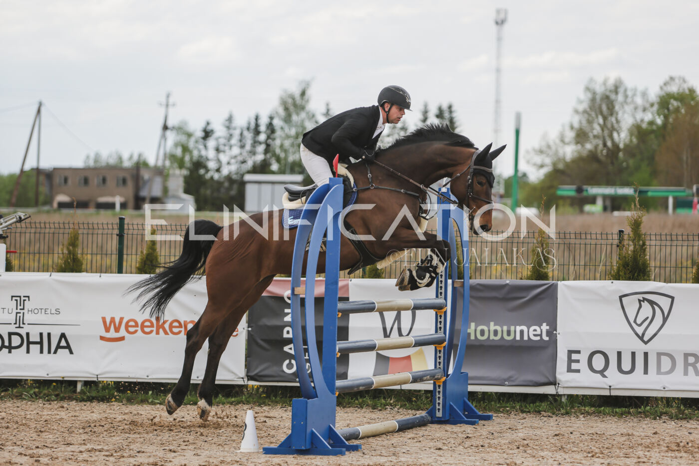 Gramina_Kevad_2026_110_676