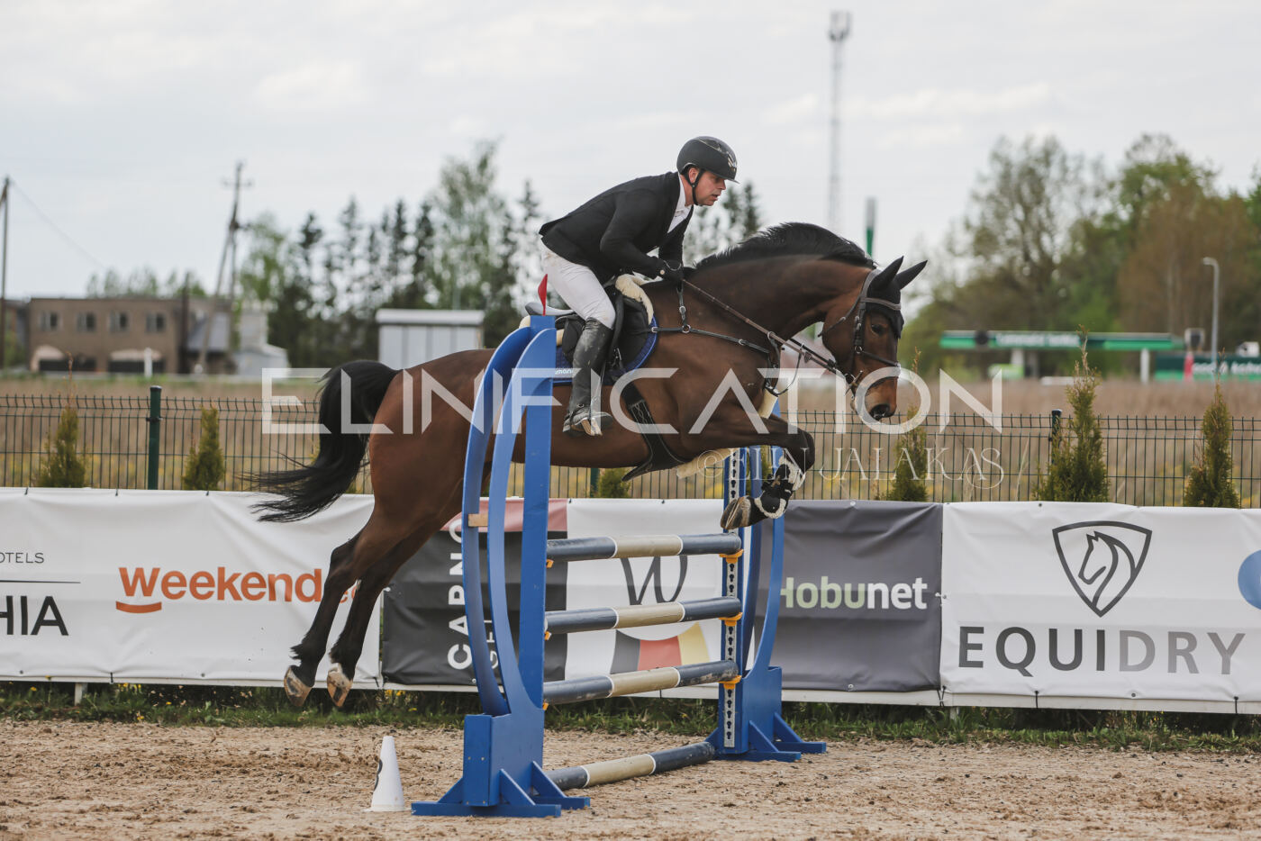 Gramina_Kevad_2026_110_677