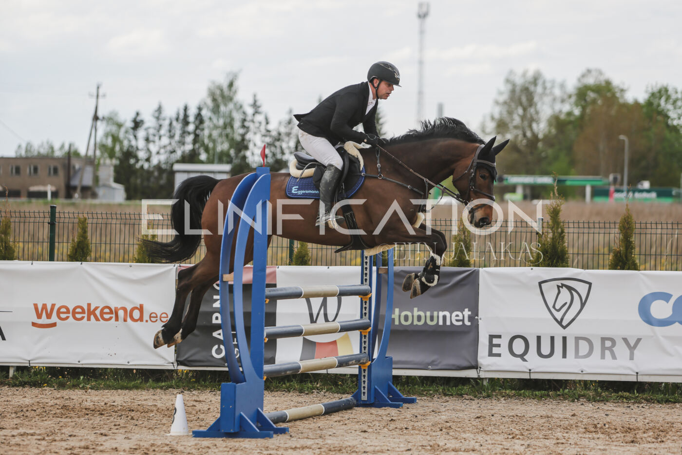 Gramina_Kevad_2026_110_678