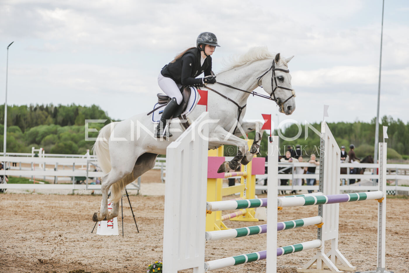 Gramina_Kevad_2026_110_680