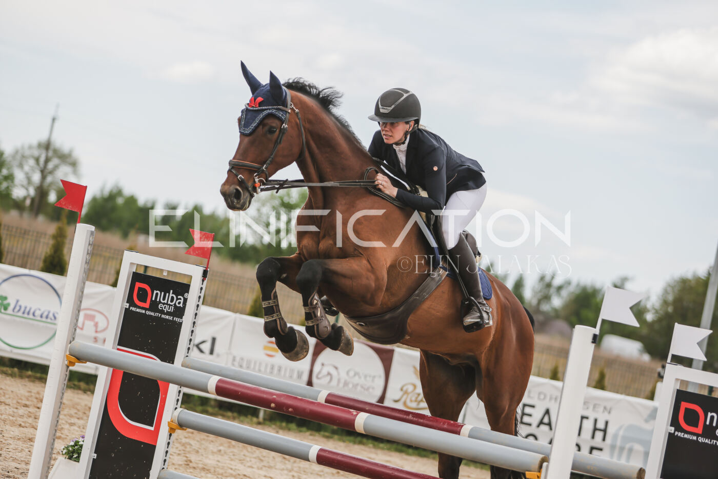 Gramina_Kevad_2026_110_698