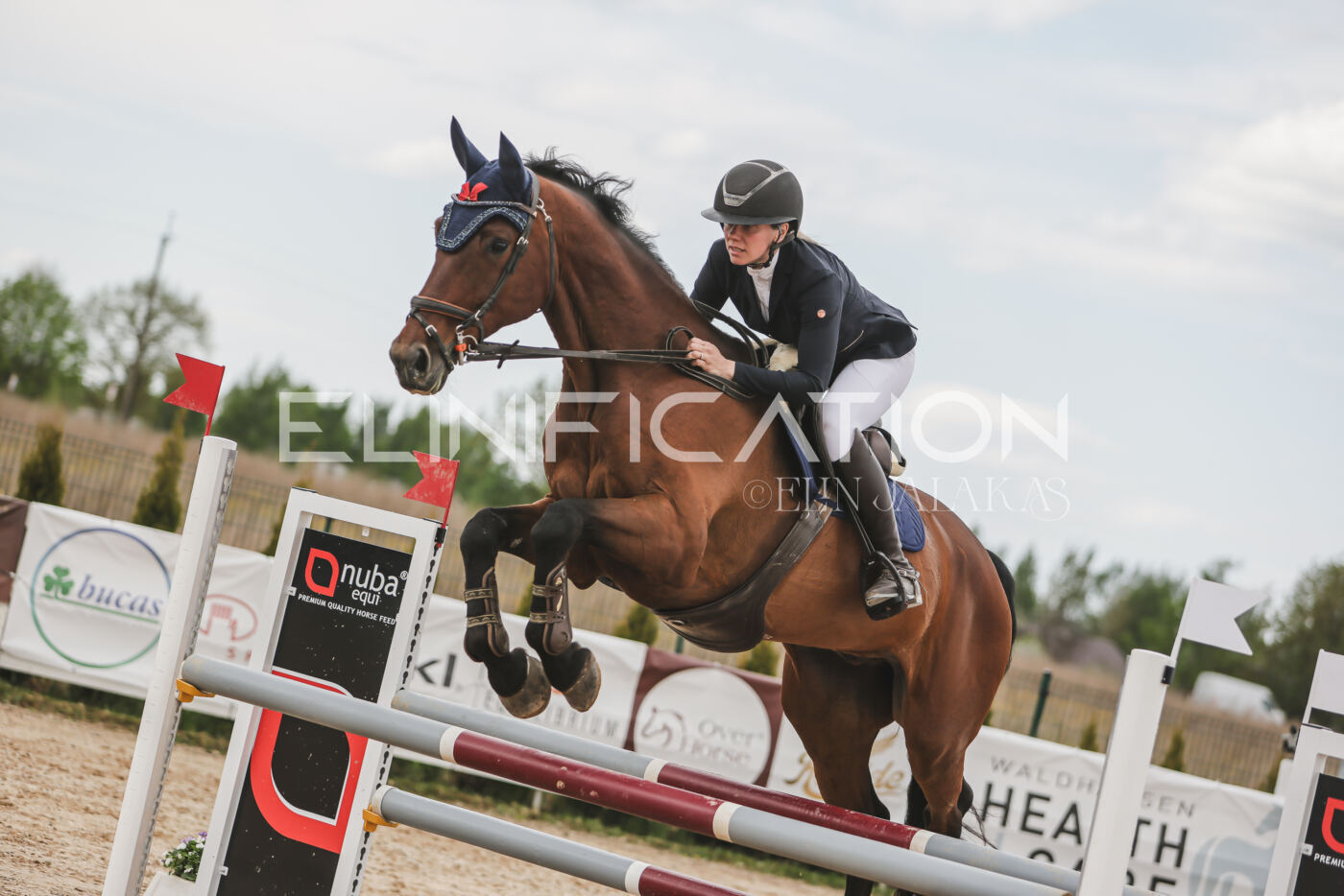 Gramina_Kevad_2026_110_699