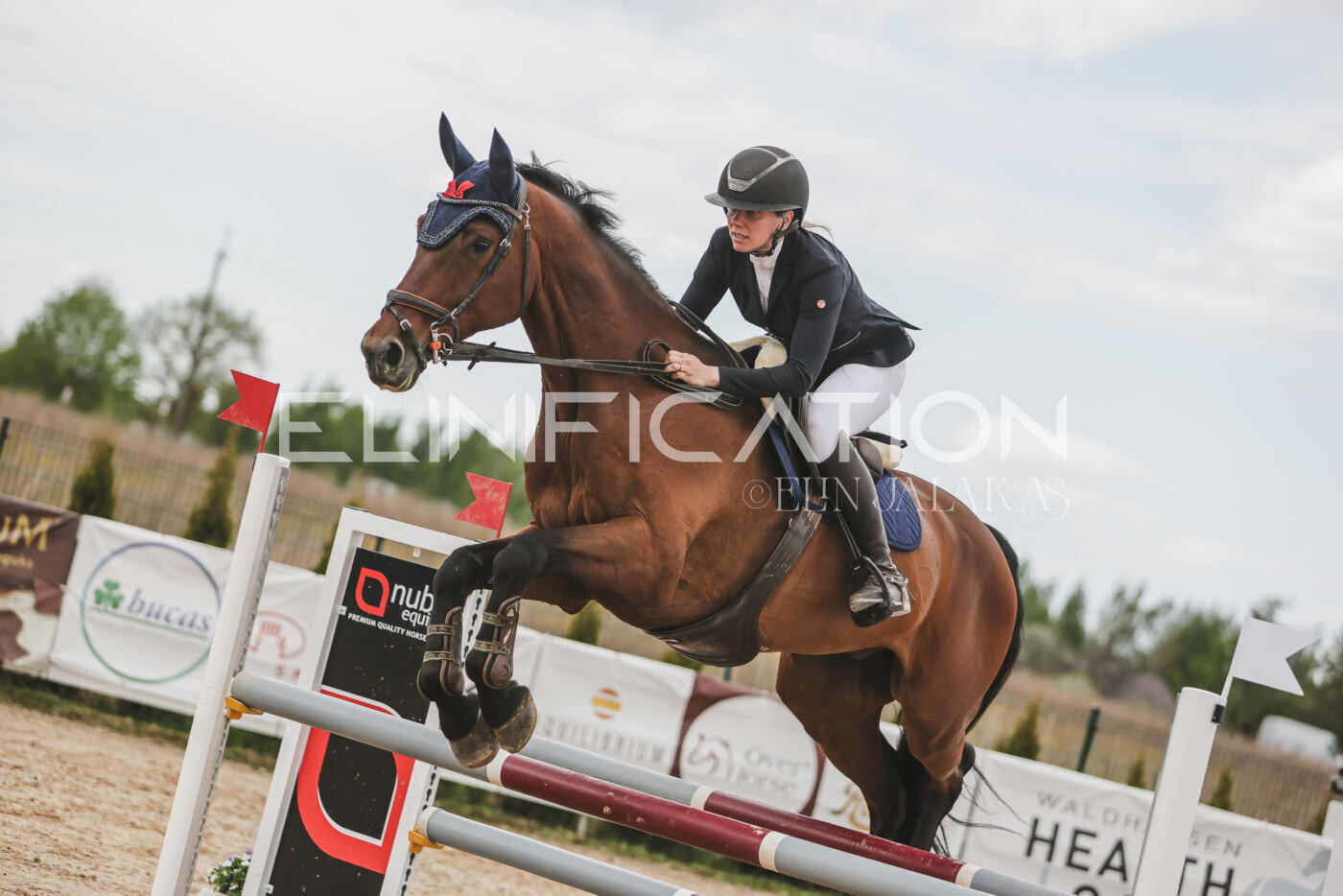 Gramina_Kevad_2026_110_700