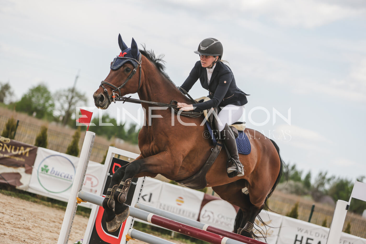 Gramina_Kevad_2026_110_701