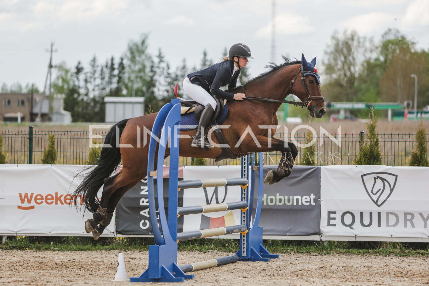 Gramina_Kevad_2026_110_702