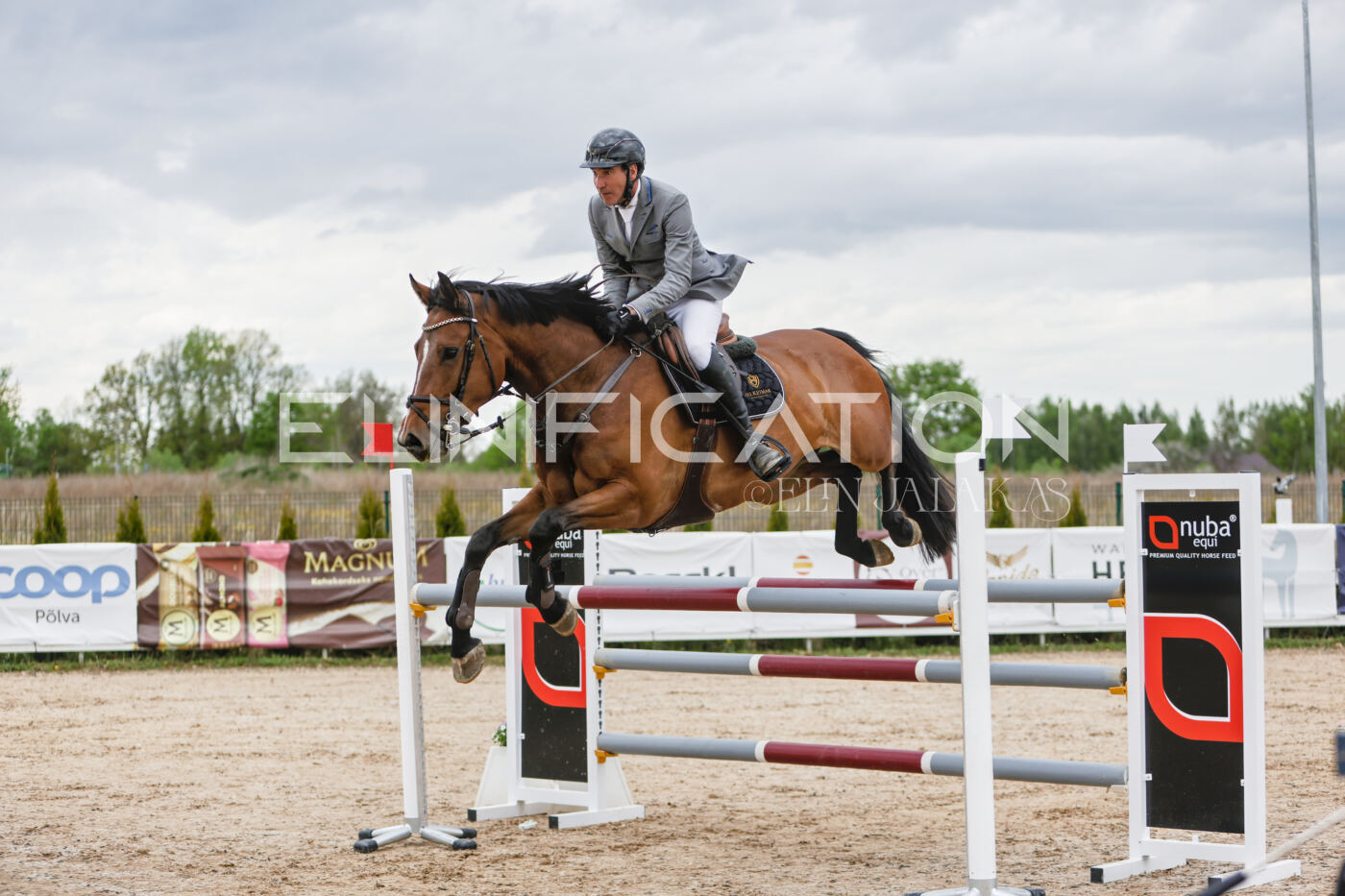 Gramina_Kevad_2026_120_004
