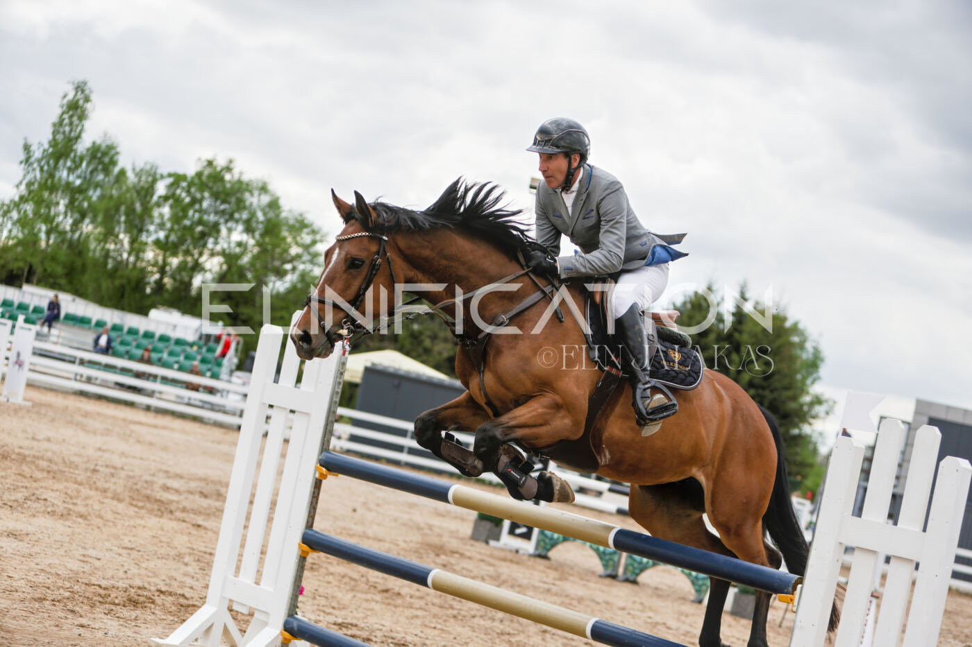 Gramina_Kevad_2026_120_006