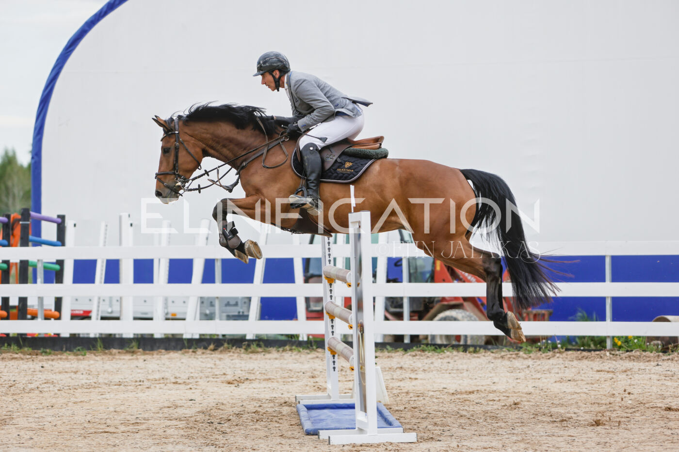 Gramina_Kevad_2026_120_011