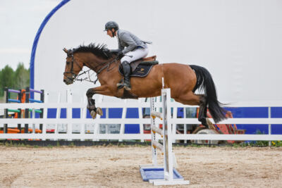 Gramina_Kevad_2026_120_012