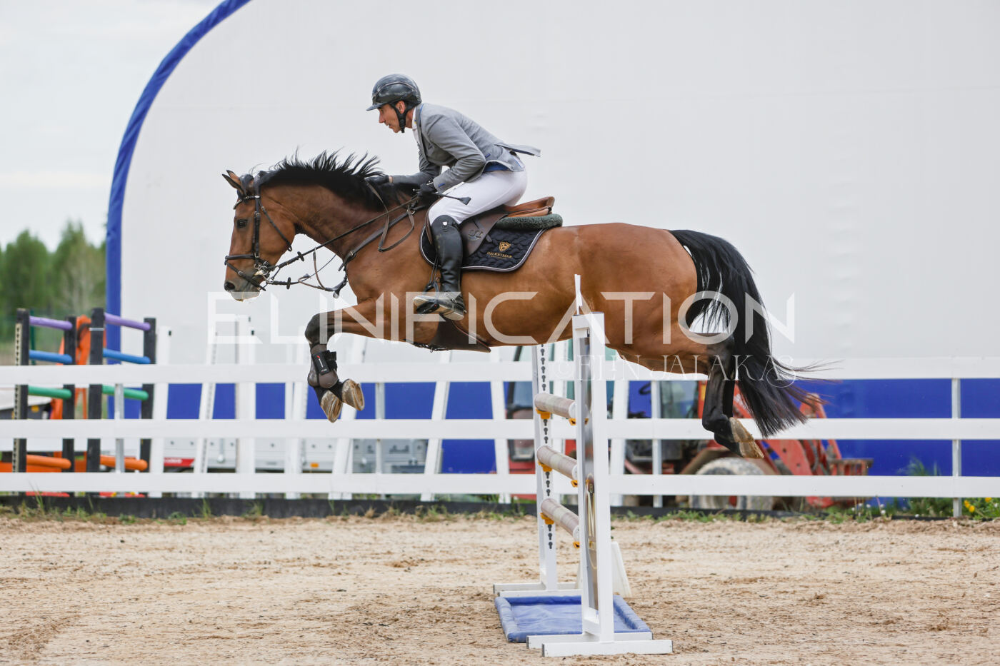 Gramina_Kevad_2026_120_012