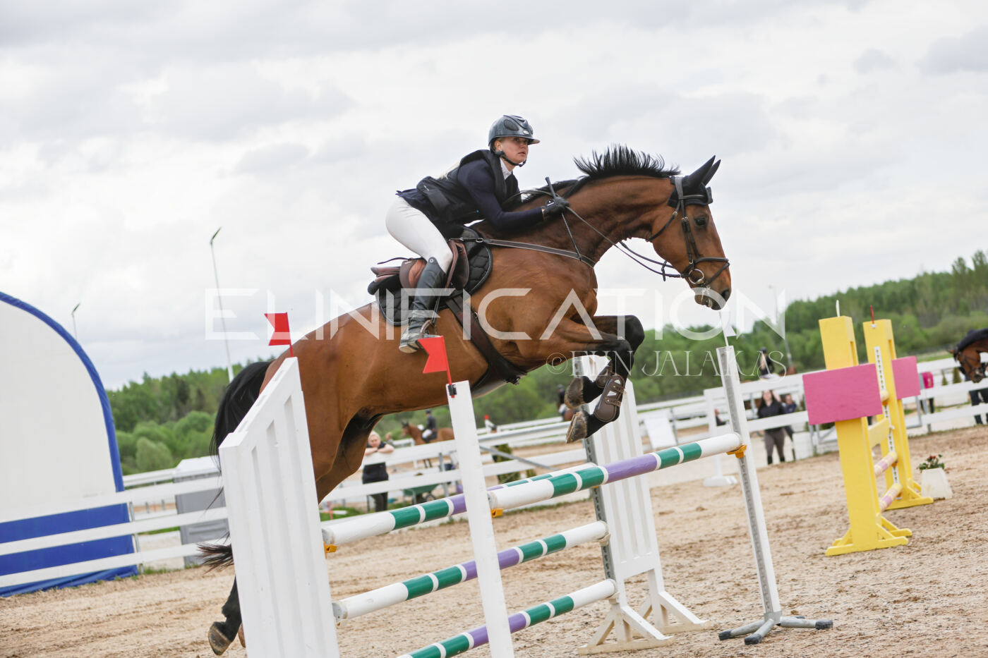 Gramina_Kevad_2026_120_013