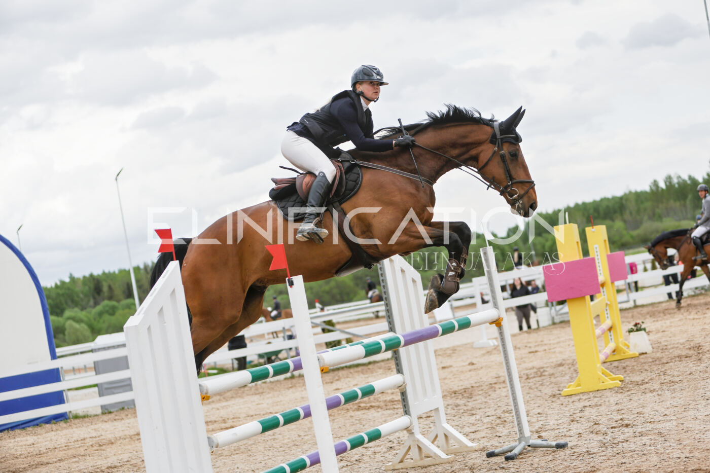 Gramina_Kevad_2026_120_014