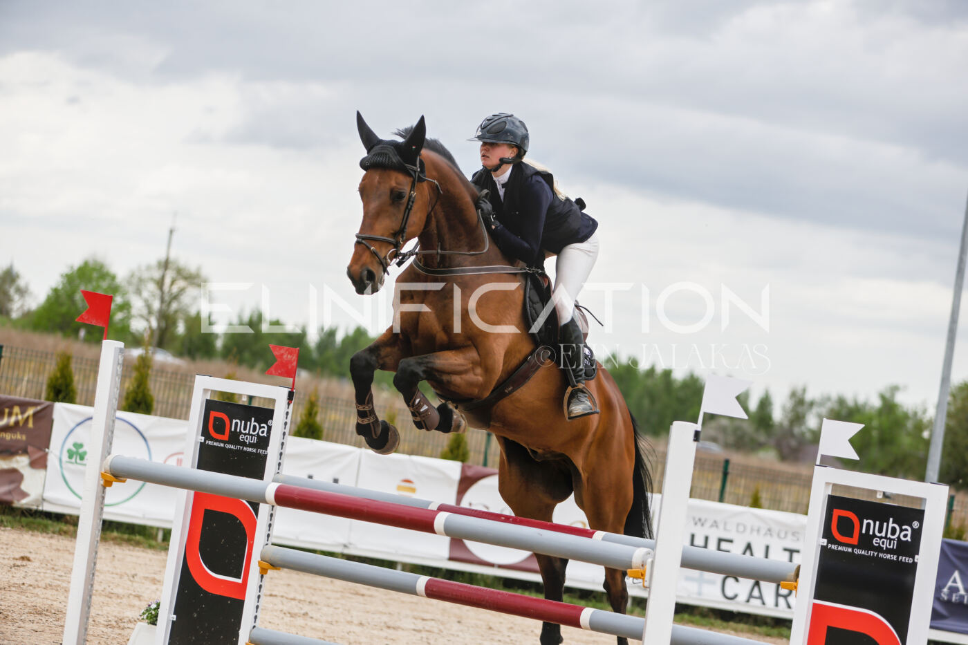 Gramina_Kevad_2026_120_018