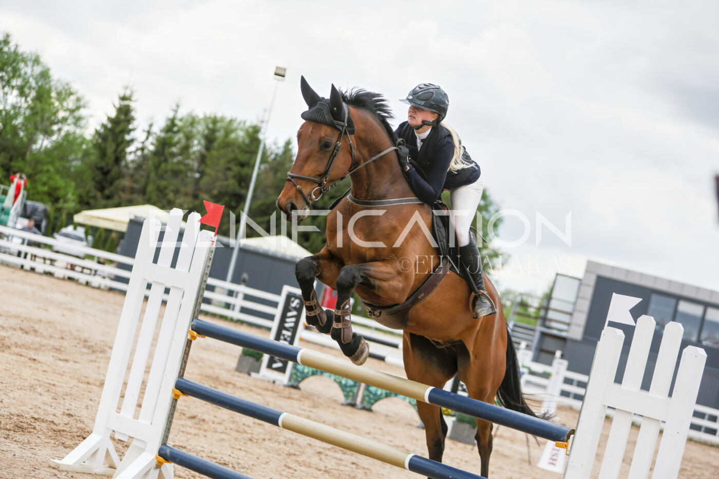 Gramina_Kevad_2026_120_024