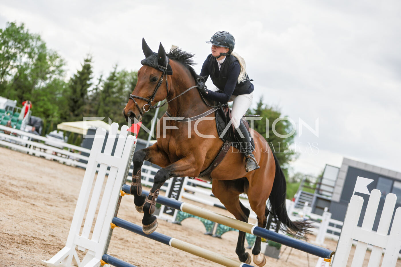 Gramina_Kevad_2026_120_026