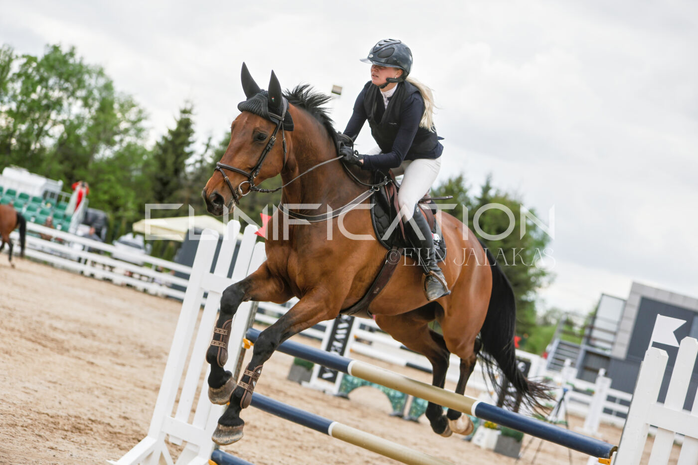 Gramina_Kevad_2026_120_027
