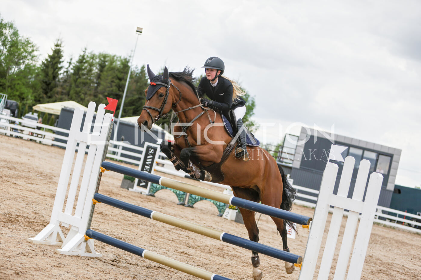 Gramina_Kevad_2026_120_039