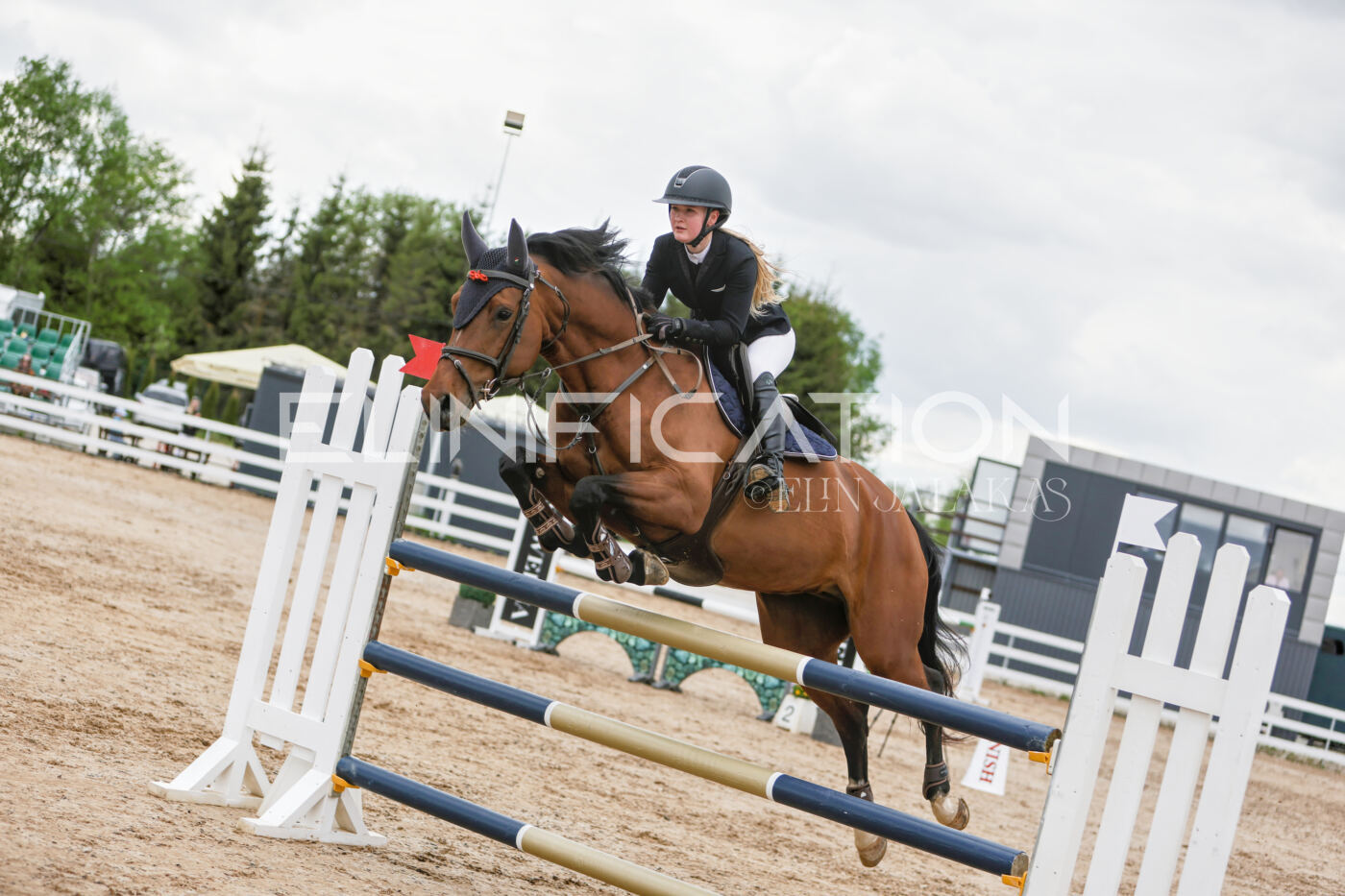 Gramina_Kevad_2026_120_040