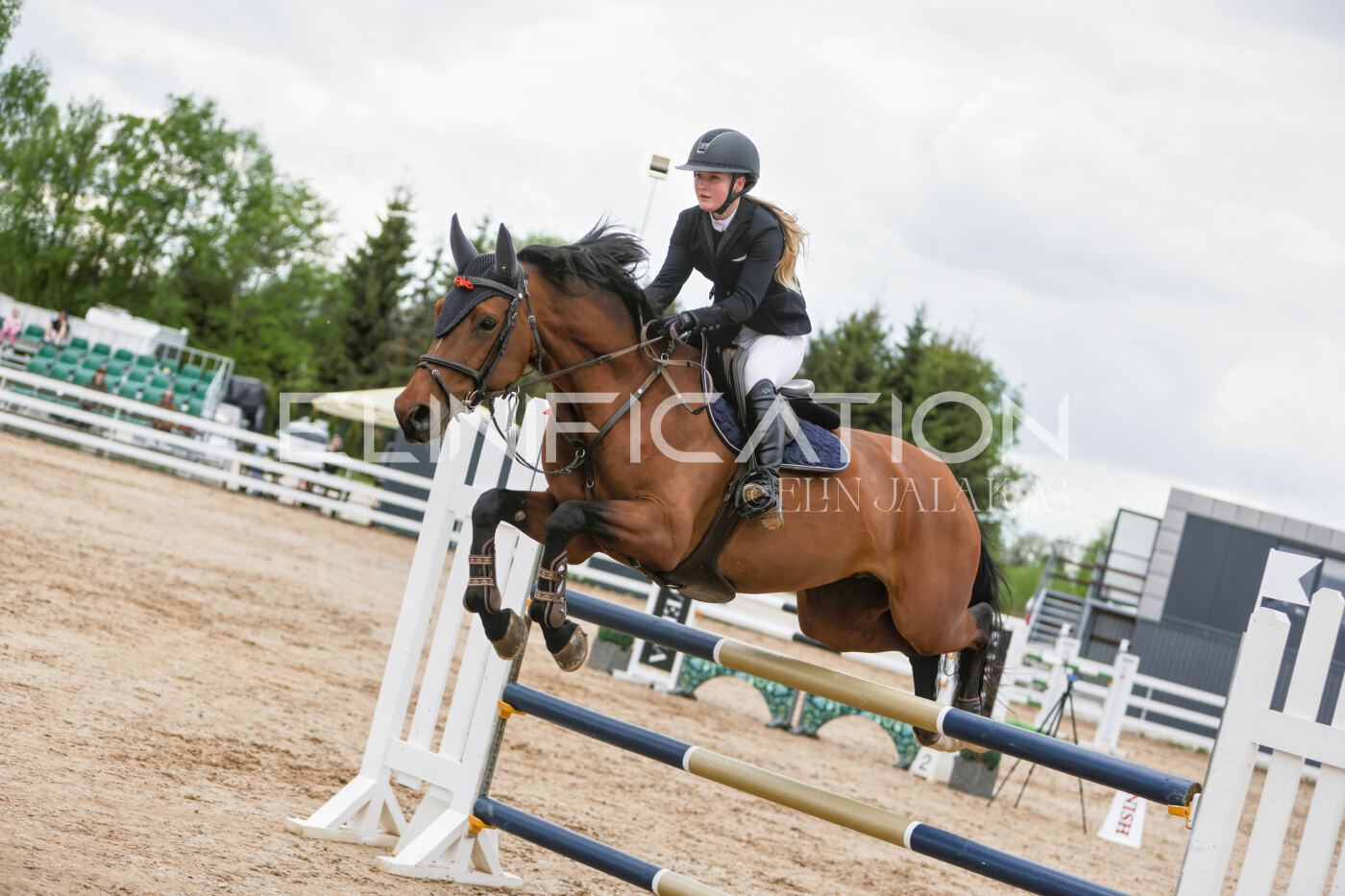 Gramina_Kevad_2026_120_042