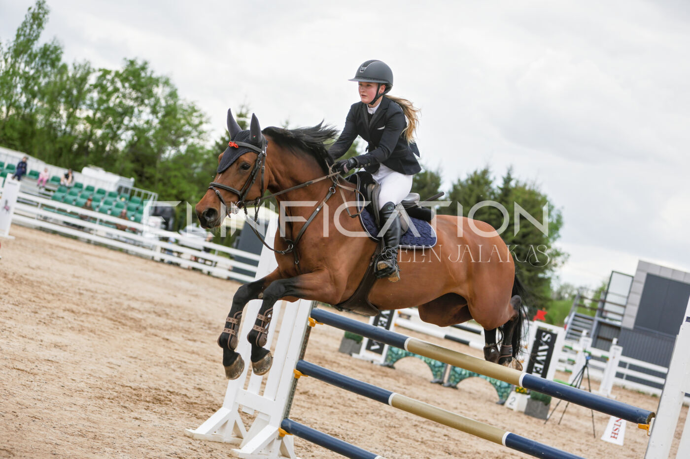 Gramina_Kevad_2026_120_043