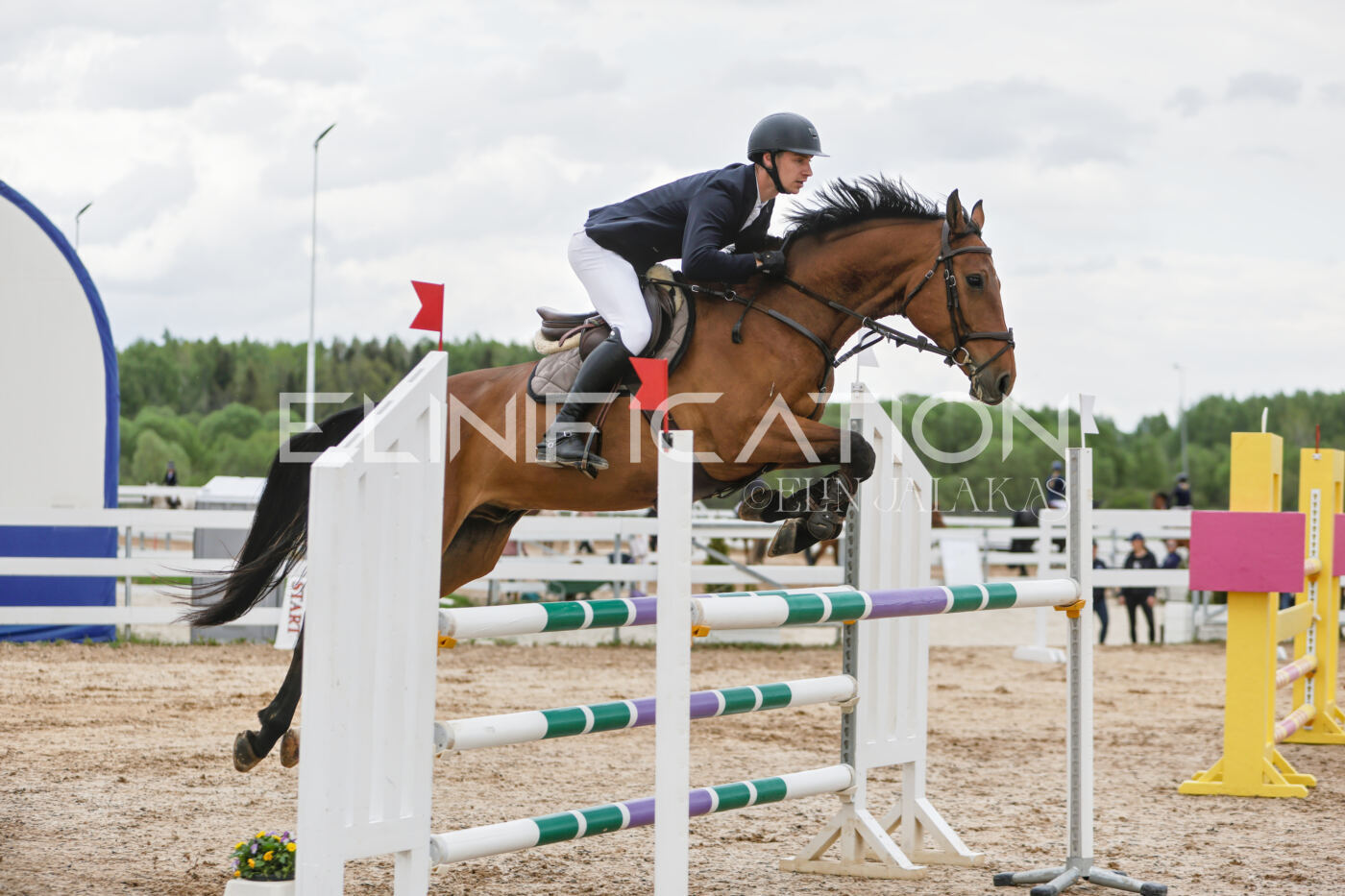 Gramina_Kevad_2026_120_044