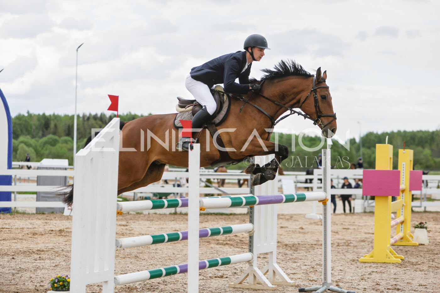 Gramina_Kevad_2026_120_045