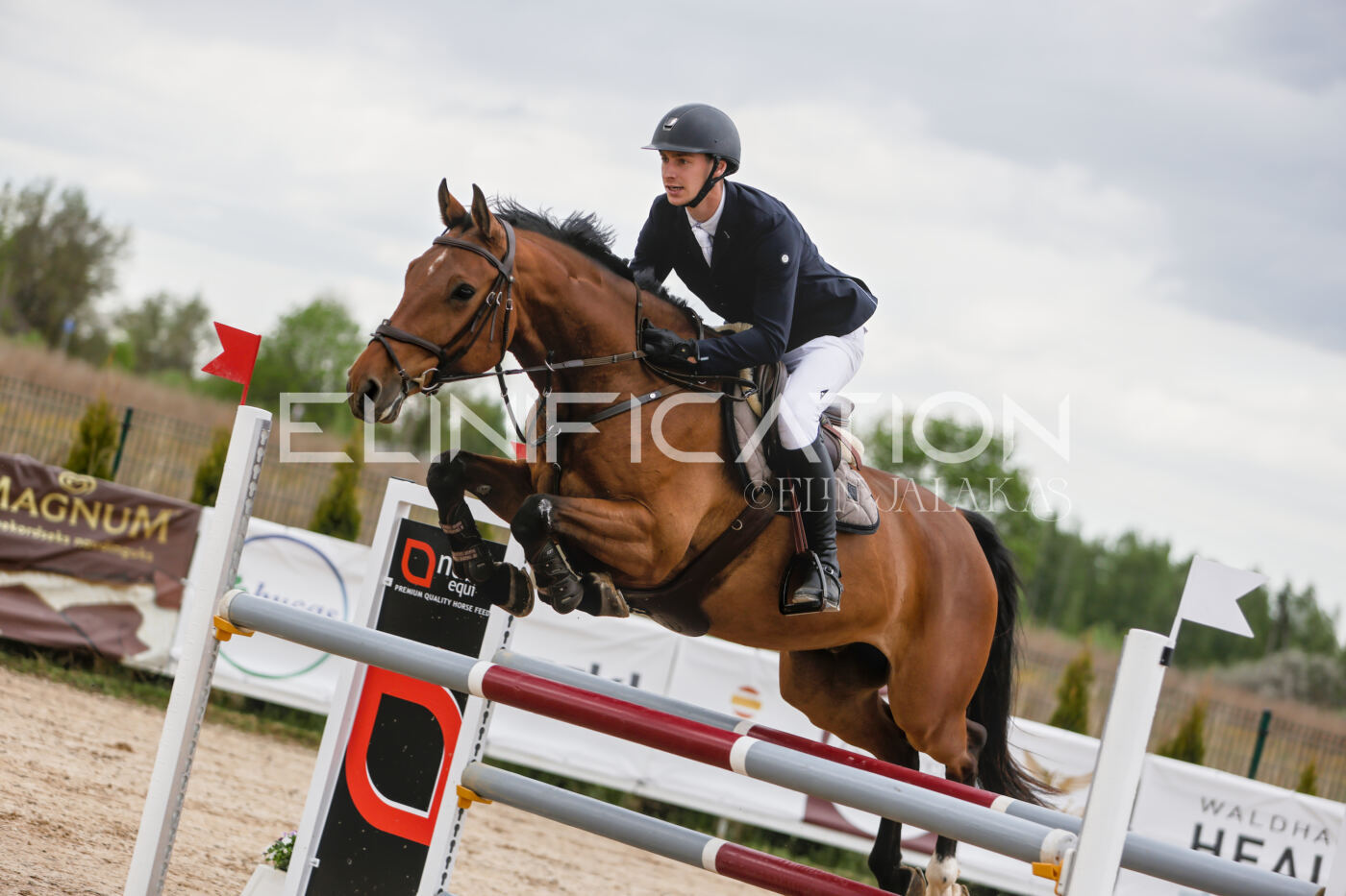 Gramina_Kevad_2026_120_055