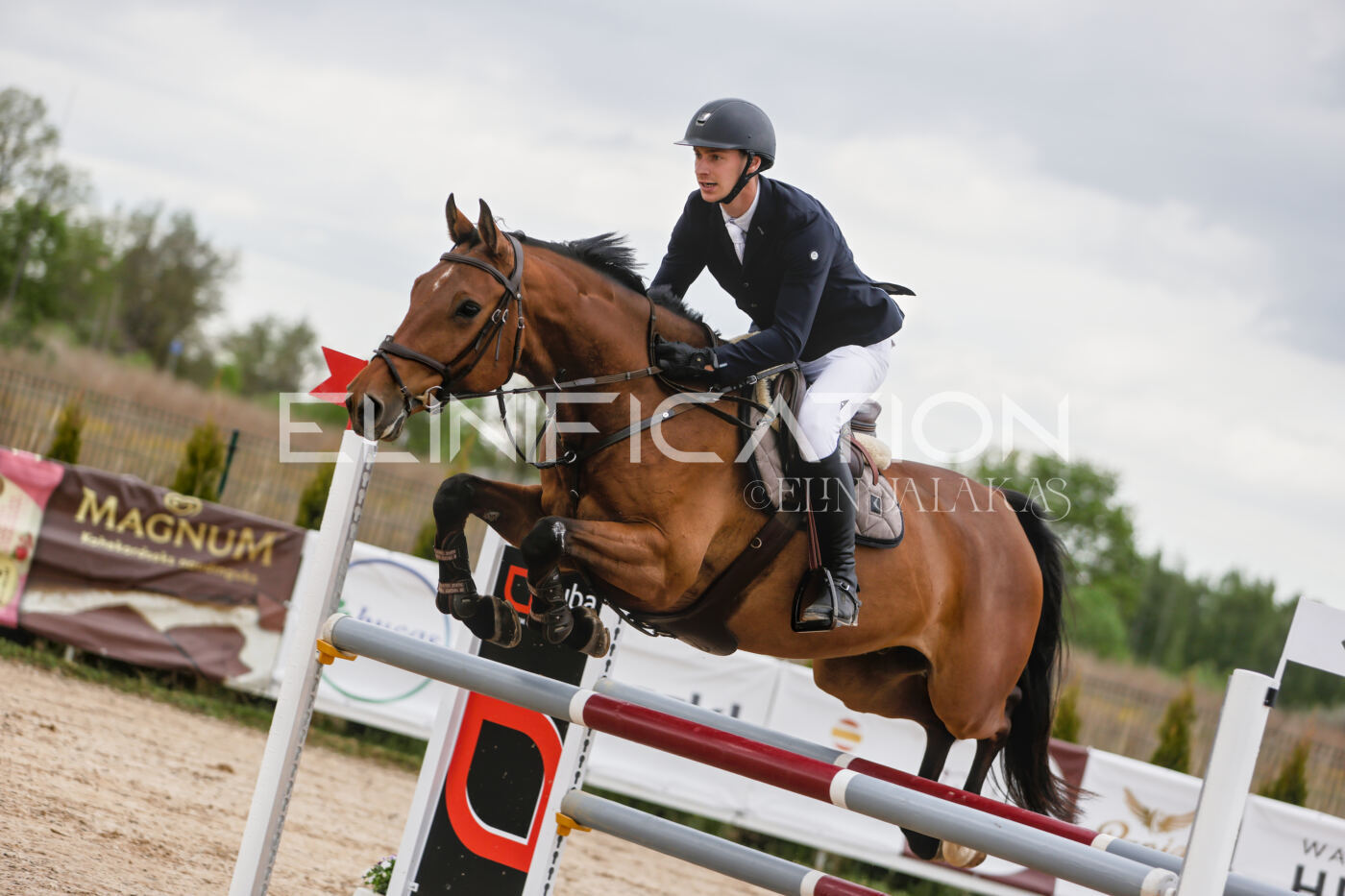 Gramina_Kevad_2026_120_056